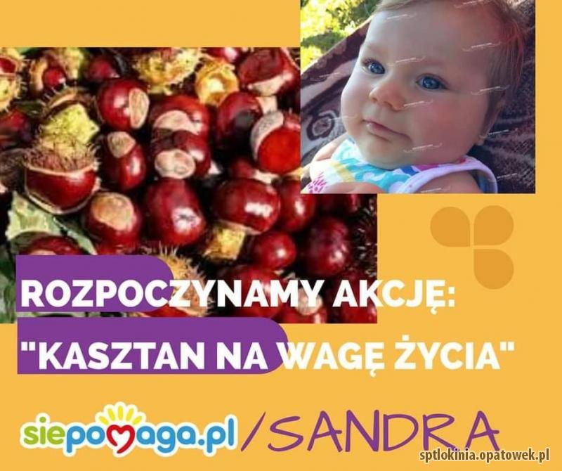 „Kasztan na wagę życia”